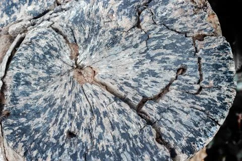 Old wood texture background Stock Photos