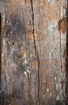 Old wood texture background Stock Photos