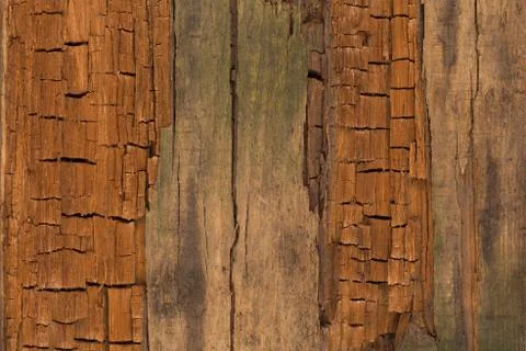 Old wood texture background. Stock Photos