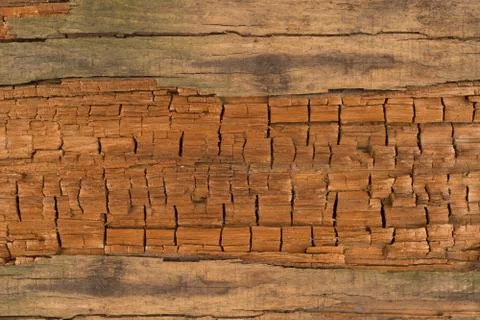 Old wood texture background. Stock Photos