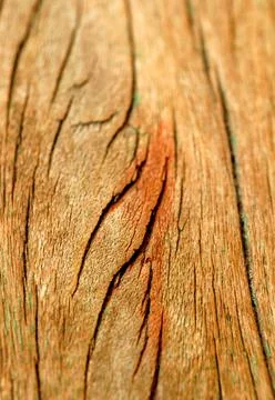 Old wood texture background Foto stock