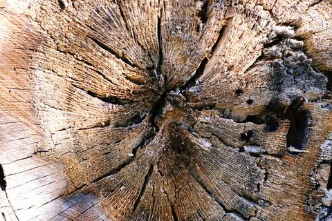Old wood texture for background. Stock Photos