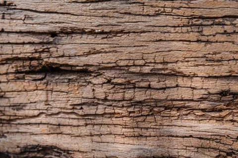 Old wood texture background, Rough surface, natural pattern Stock Photos