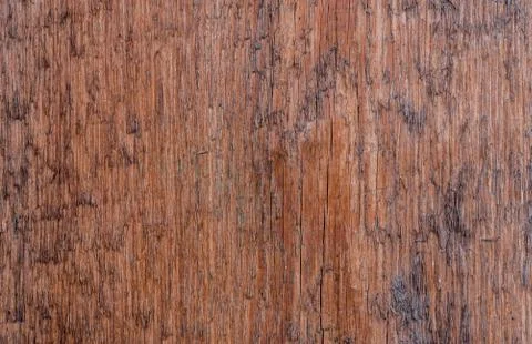 Old wood texture. Brown outdated Board. Retro furniture decor. Hardwood mater 库存照片