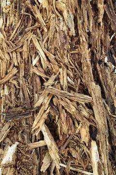 Old wood texture, close-up, selective focus Fotos Stock
