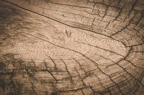 Old wood texture , dirty surface wooden background , brown wood dark style Stock Photos