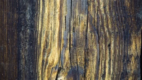 Old wood texture Stock Footage 106766079