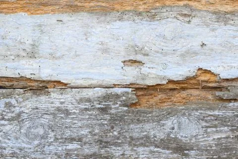 The old wood texture with natural patterns Foto stock