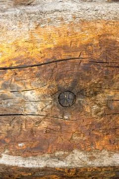 The old wood texture with natural patterns Stock Photos