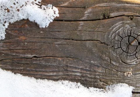 The old wood texture with natural patterns. Inside the tree background. Old g Stock Photos