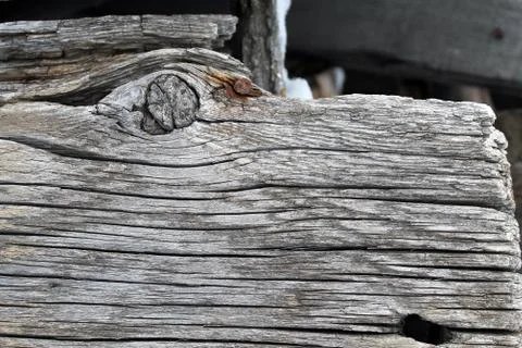 The old wood texture with natural patterns. Inside the tree background. Old g Stock Photos