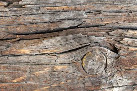 The old wood texture with natural patterns. Inside the tree background. Old g Stock Photos