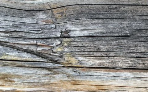 The old wood texture with natural patterns. Inside the tree background. Old g Stock Photos