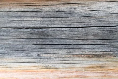 The old wood texture with natural patterns. Inside the tree background. Old g Stock Photos