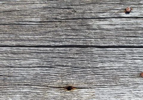 The old wood texture with natural patterns. Inside the tree background. Old g Stock Photos
