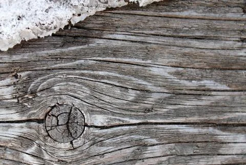 The old wood texture with natural patterns. Inside the tree background. Old g Stock Photos