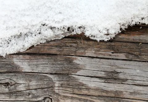 The old wood texture with natural patterns. Inside the tree background. Old g Stock Photos