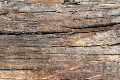The old wood texture with natural patterns. Inside the tree background. Old g Stock Photos