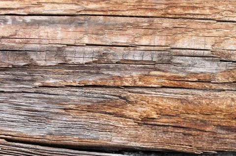 The old wood texture with natural patterns. Inside the tree background. Old g Stock Photos