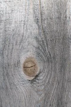 The old wood texture with natural patterns. Inside the tree background. Old g Stock Photos