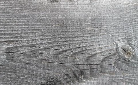 The old wood texture with natural patterns. Inside the tree background. Old g Stock Photos