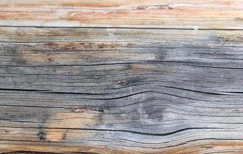 The old wood texture with natural patterns. Inside the tree background. Old g Stock Photos