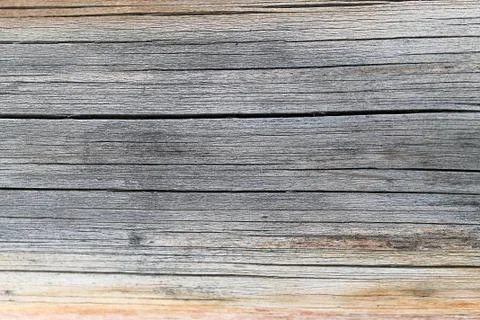 The old wood texture with natural patterns. Inside the tree background. Old g Stock Photos