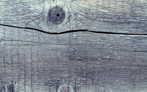 The old wood texture with natural patterns. Inside the tree background. Old g Stock Photos