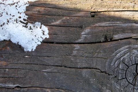 The old wood texture with natural patterns. Inside the tree background. Old Stock Photos
