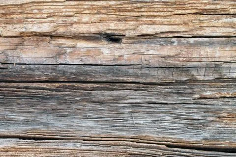 The old wood texture with natural patterns. Inside the tree background. Old Stock Photos