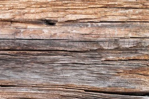 The old wood texture with natural patterns. Inside the tree background. Old Stock Photos