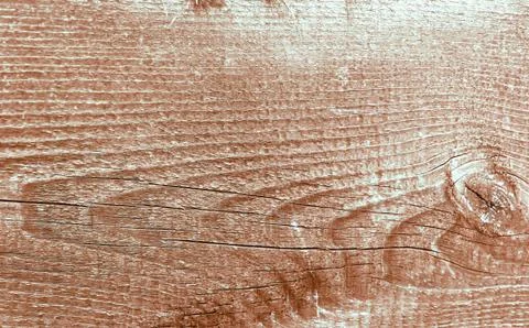 The old wood texture with natural patterns. Inside the tree background. Old Stock Photos