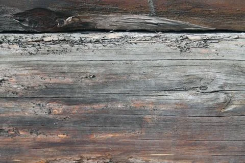 The old wood texture with natural patterns. Inside the tree background. Old g Stock Photos