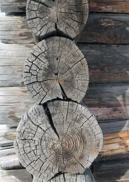 The old wood texture with natural patterns. Cross-section of the old tree Stock Photos