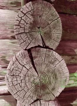 The old wood texture with natural patterns. Cross-section of the old tree Stock Photos