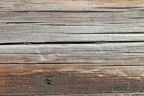 The old wood texture with natural patterns. Inside the tree background. Old g Stock Photos