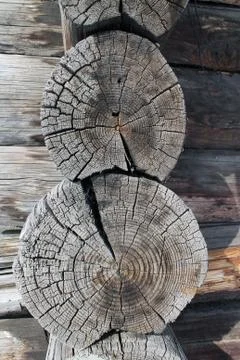 The old wood texture with natural patterns. Cross-section of the old tree Stock Photos