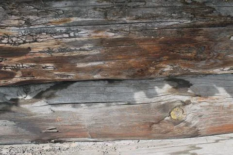 The old wood texture with natural patterns. Inside the tree background. Old Stock Photos