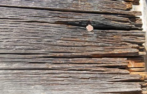 The old wood texture with natural patterns. Inside the tree background. Old Stock Photos