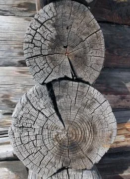 The old wood texture with natural patterns. Cross-section of the old tree Stock Photos