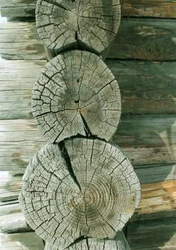 The old wood texture with natural patterns. Cross-section of the old tree Stock Photos