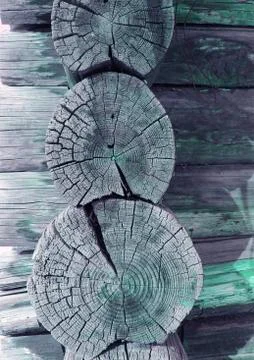 The old wood texture with natural patterns. Cross-section of the old tree Stock Photos