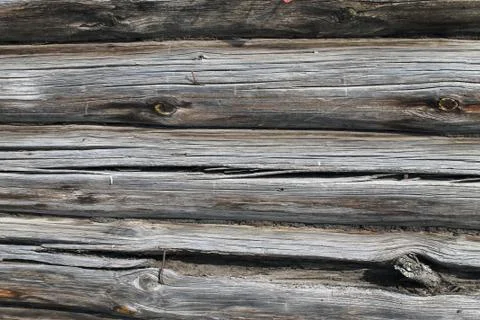 The old wood texture with natural patterns. Inside the tree background. Old g Stock Photos
