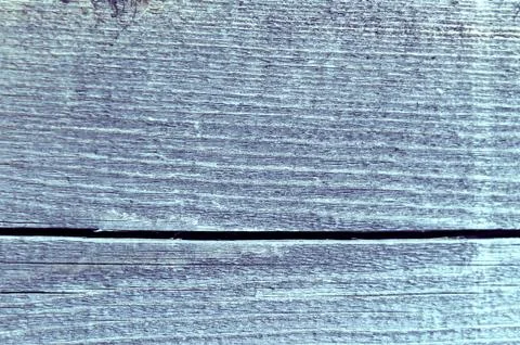 The old wood texture with natural patterns. Inside the tree background. Old g Stock Photos