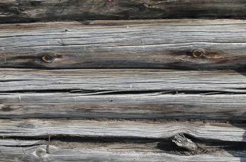 The old wood texture with natural patterns. Inside the tree background. Old g Stock Photos