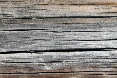 The old wood texture with natural patterns. Inside the tree background. Old g Stock Photos