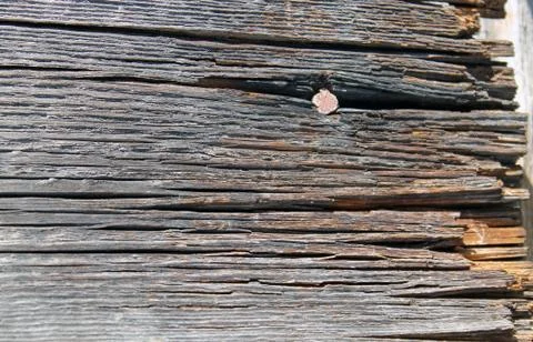 The old wood texture with natural patterns. Inside the tree background. Old Stock Photos