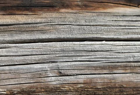 The old wood texture with natural patterns. Inside the tree background. Old Stock Photos