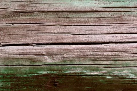 The old wood texture with natural patterns. Inside the tree background. Old Stock Photos