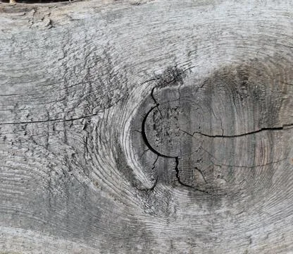 The old wood texture with natural patterns. Cross-section of the old tree Stock Photos